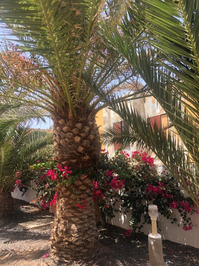 Apartamento Le Soleil De Fuerteventura Costa De Antigua Dış mekan fotoğraf